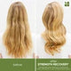 Biolage Strength Recovery Strengthens Damaged Hair Duo