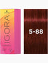 Schwarzkopf Igora Vibrance Demi Permanent 5-88 Light Brown Red