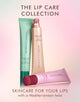 Moroccanoil Moroccan Mint Tea Argan Butter Lip Balm