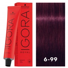 Schwarzkopf IGORA® Royal 6-99